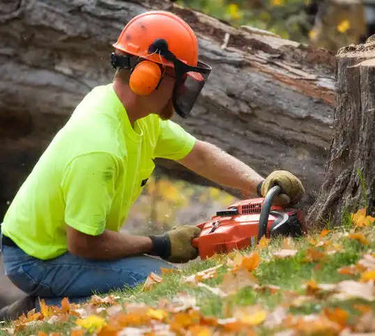 tree services Bryantown